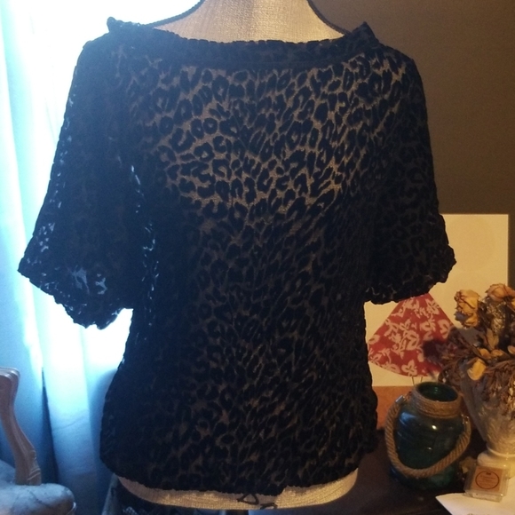 Elegant Black Top - Picture 1 of 5